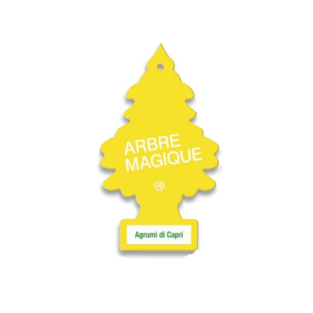 ARBRE MAGIQUE CF. 24 PZ