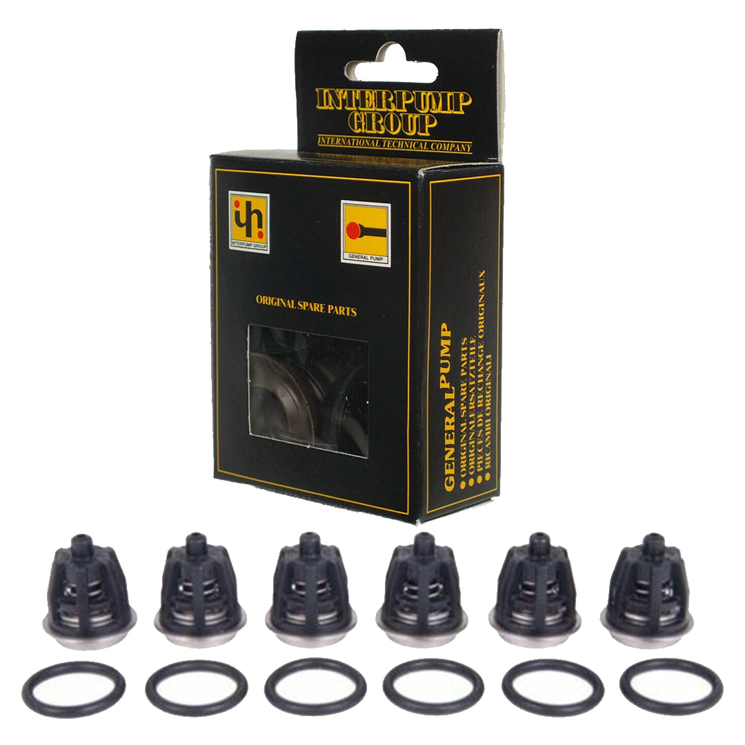 KIT 1 INTERPUMP - Ricambio per Idropulitrici Alta Pressione